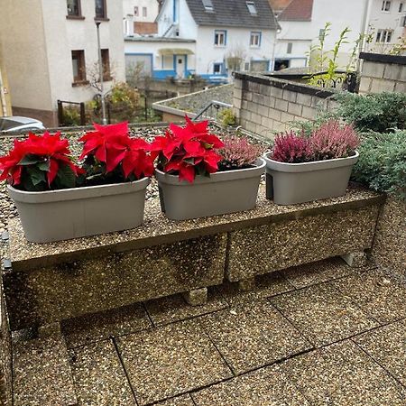 Fewo Dana Apartamento Neckarsteinach Exterior foto