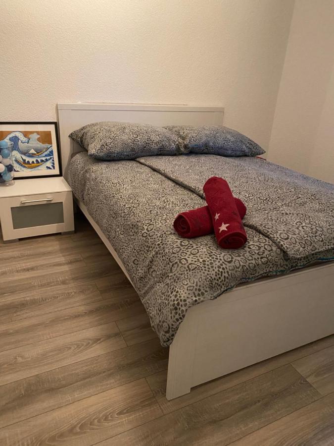 Fewo Dana Apartamento Neckarsteinach Exterior foto